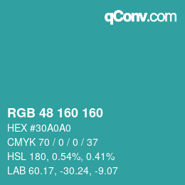 カラーコード: RGB 48 160 160 | qconv.com