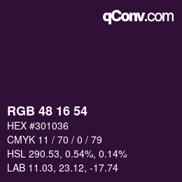 Color code: RGB 48 16 54 | qconv.com
