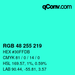 Color code: RGB 48 255 219 | qconv.com