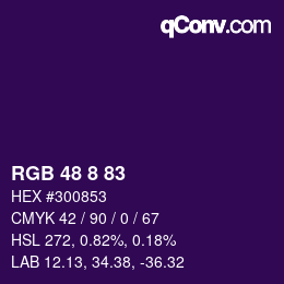 Color code: RGB 48 8 83 | qconv.com