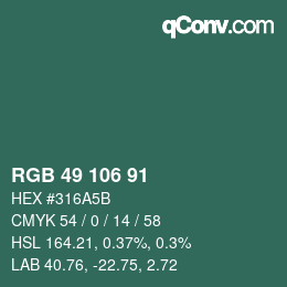 颜色代码: RGB 49 106 91 | qconv.com