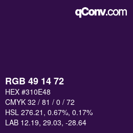 Color code: RGB 49 14 72 | qconv.com