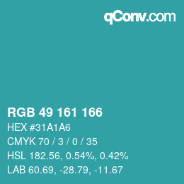 カラーコード: RGB 49 161 166 | qconv.com