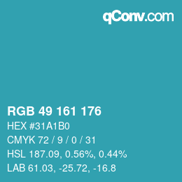 カラーコード: RGB 49 161 176 | qconv.com