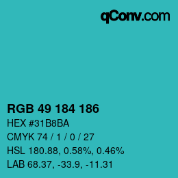 Color code: RGB 49 184 186 | qconv.com