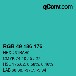 Color code: RGB 49 186 176 | qconv.com