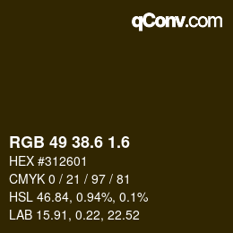 カラーコード: RGB 49 38.6 1.6 | qconv.com