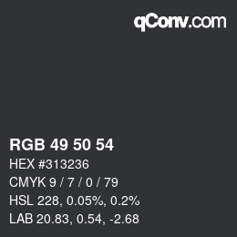 Farbcode: RGB 49 50 54 | qconv.com
