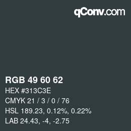 カラーコード: RGB 49 60 62 | qconv.com