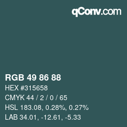 Color code: RGB 49 86 88 | qconv.com