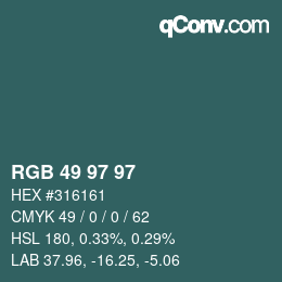 Color code: RGB 49 97 97 | qconv.com