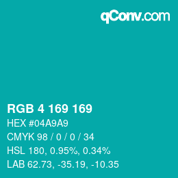 Color code: RGB 4 169 169 | qconv.com