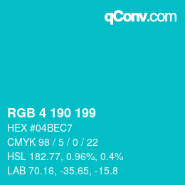Color code: RGB 4 190 199 | qconv.com