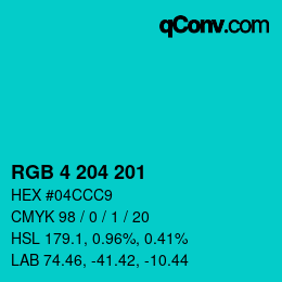 Color code: RGB 4 204 201 | qconv.com