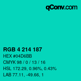 Color code: RGB 4 214 187 | qconv.com
