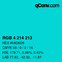 Color code: RGB 4 214 213 | qconv.com