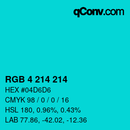 Color code: RGB 4 214 214 | qconv.com