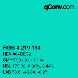 Color code: RGB 4 219 194 | qconv.com