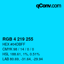 Color code: RGB 4 219 255 | qconv.com