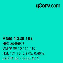 Color code: RGB 4 229 198 | qconv.com