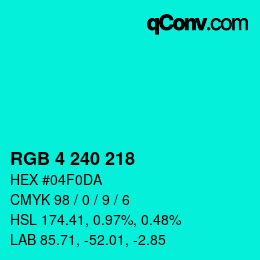 Color code: RGB 4 240 218 | qconv.com