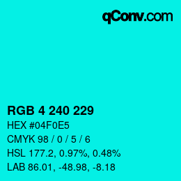 Color code: RGB 4 240 229 | qconv.com