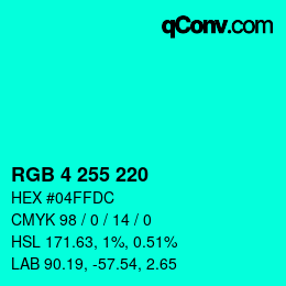 Color code: RGB 4 255 220 | qconv.com