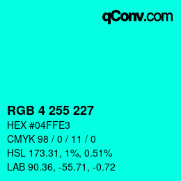 Color code: RGB 4 255 227 | qconv.com