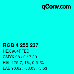 Color code: RGB 4 255 237 | qconv.com