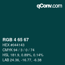 颜色代码: RGB 4 65 67 | qconv.com