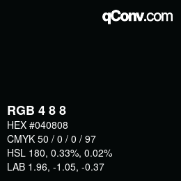 Color code: RGB 4 8 8 | qconv.com