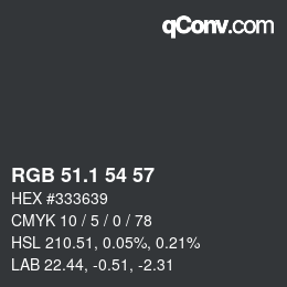 Color code: RGB 51.1 54 57 | qconv.com