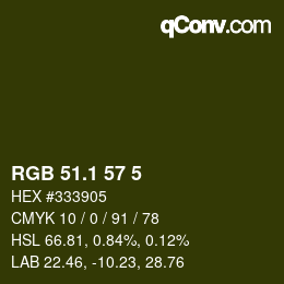 カラーコード: RGB 51.1 57 5 | qconv.com
