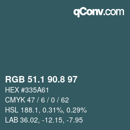 Color code: RGB 51.1 90.8 97 | qconv.com