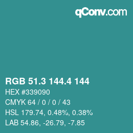 カラーコード: RGB 51.3 144.4 144 | qconv.com