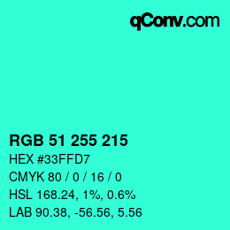 Color code: RGB 51 255 215 | qconv.com