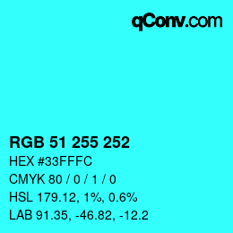 Color code: RGB 51 255 252 | qconv.com