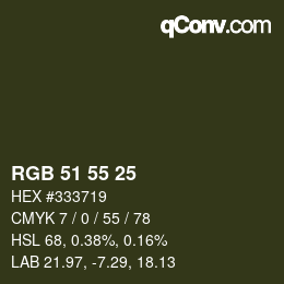 Farbcode: RGB 51 55 25 | qconv.com