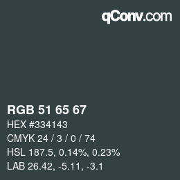 カラーコード: RGB 51 65 67 | qconv.com