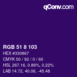 Color code: RGB 51 8 103 | qconv.com