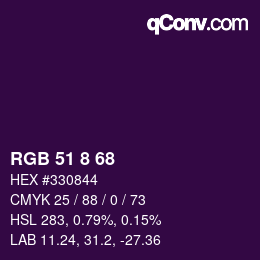 Color code: RGB 51 8 68 | qconv.com