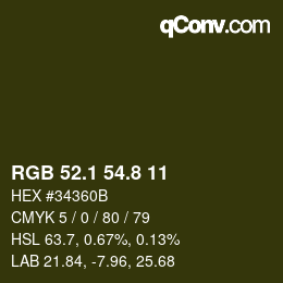 Color code: RGB 52.1 54.8 11 | qconv.com
