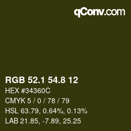 Color code: RGB 52.1 54.8 12 | qconv.com