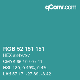 Color code: RGB 52 151 151 | qconv.com
