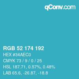 Color code: RGB 52 174 192 | qconv.com