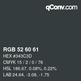 颜色代码: RGB 52 60 61 | qconv.com