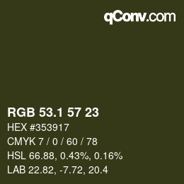 カラーコード: RGB 53.1 57 23 | qconv.com