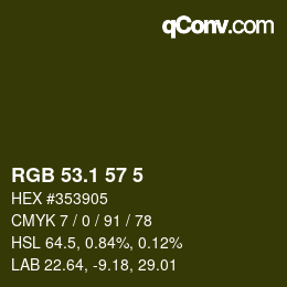 カラーコード: RGB 53.1 57 5 | qconv.com