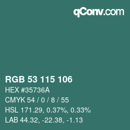 Color code: RGB 53 115 106 | qconv.com