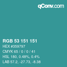 Color code: RGB 53 151 151 | qconv.com